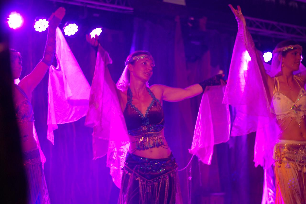 gala_ACAM_1 (15)
