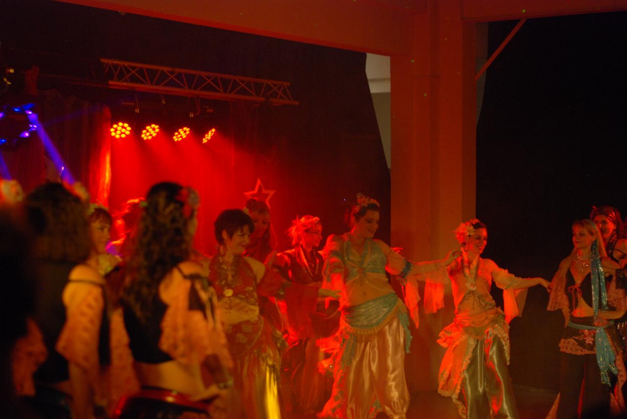 gala_ACAM_2 (248)